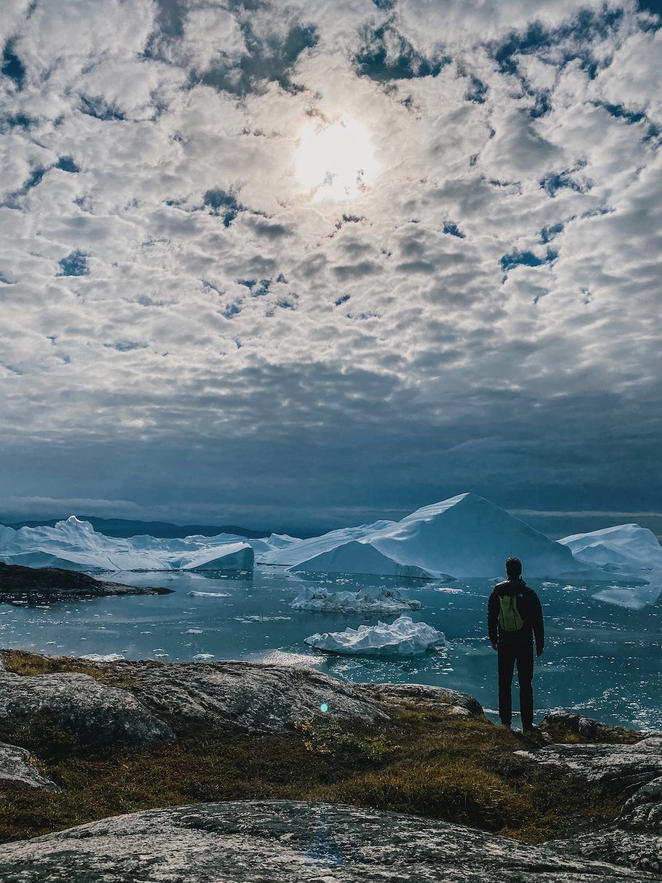 Polle looking out over icebergs